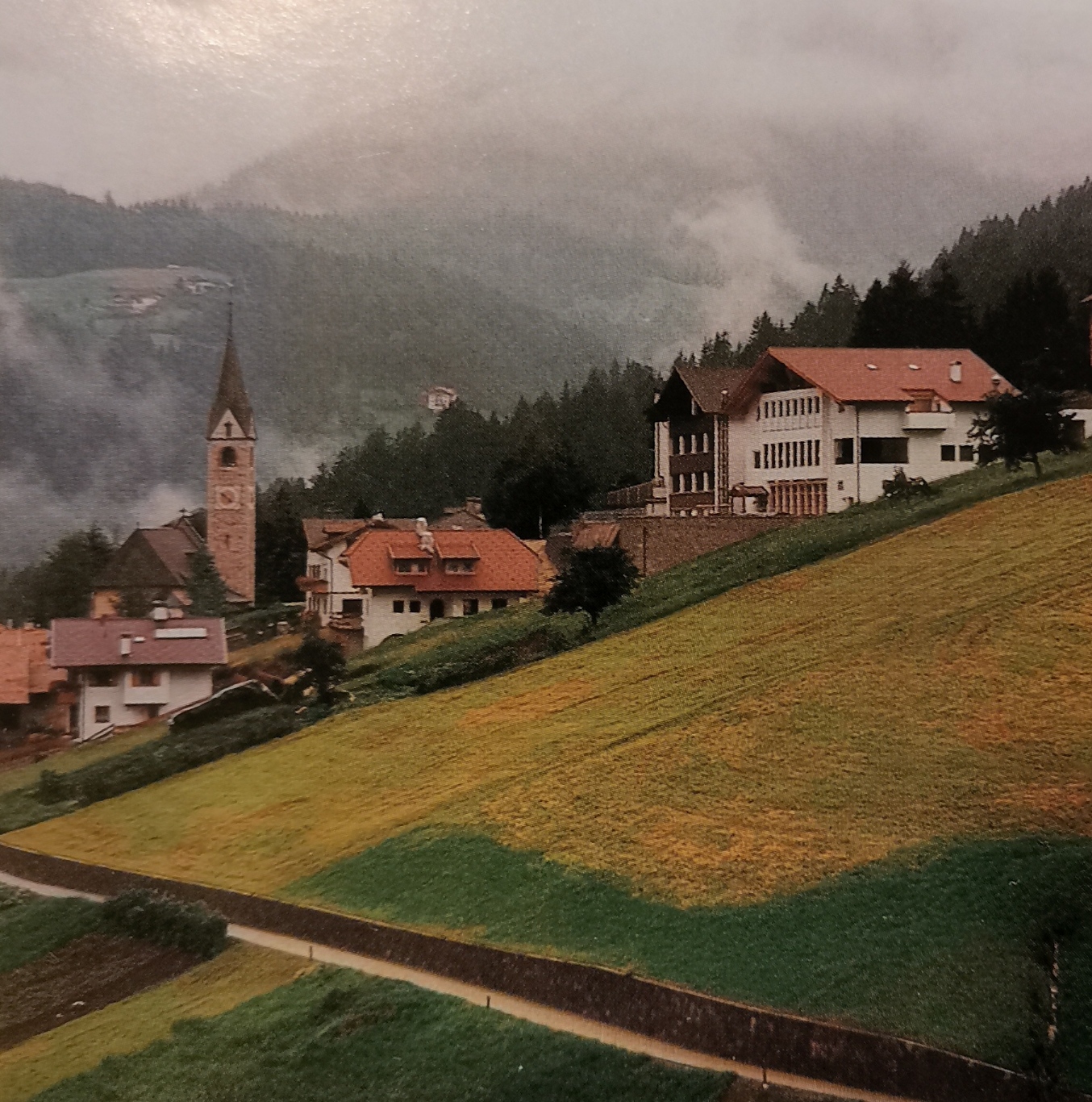 A Lauregno/Laurein: i laffrrengr (15)