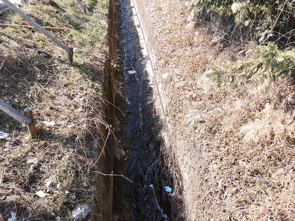 Pioggia in arrivo sul Trentino