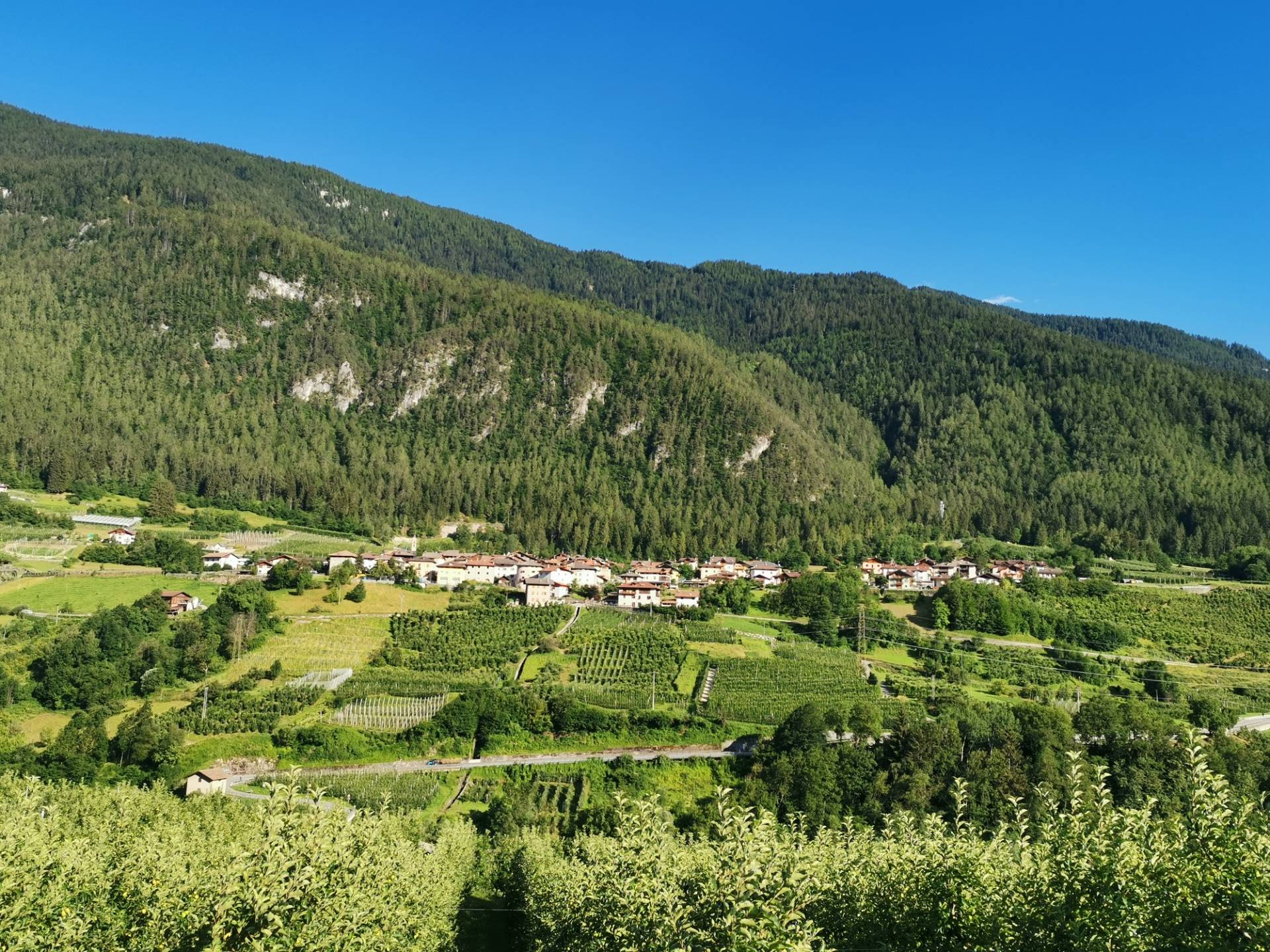 Quale &egrave; l'origine del nome Cavizzana?