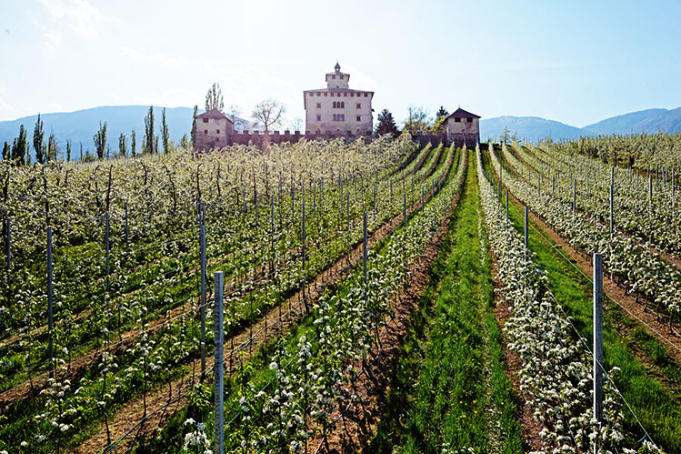 Per Pasqua 400 mila persone scelgono l"agriturismo