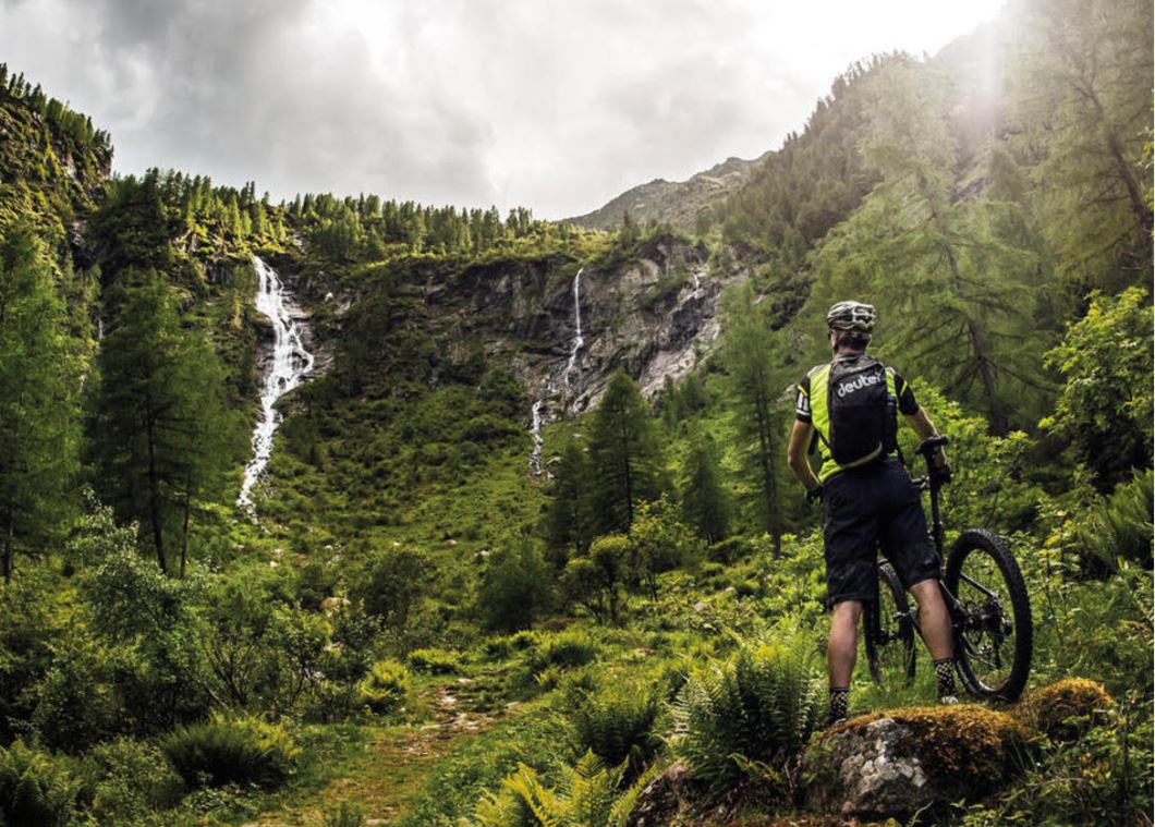 Covid, zero decessi e 115 positivi su oltre mille tamponi