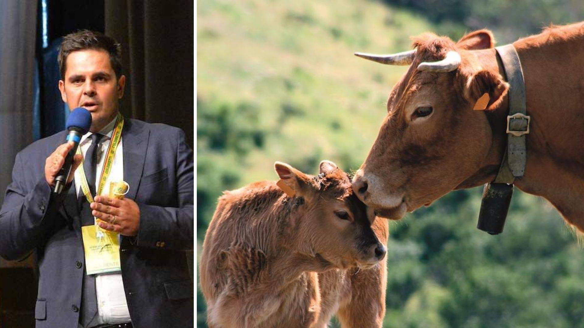 Inflazione: Coldiretti, si specula su agricoltori e consumatori