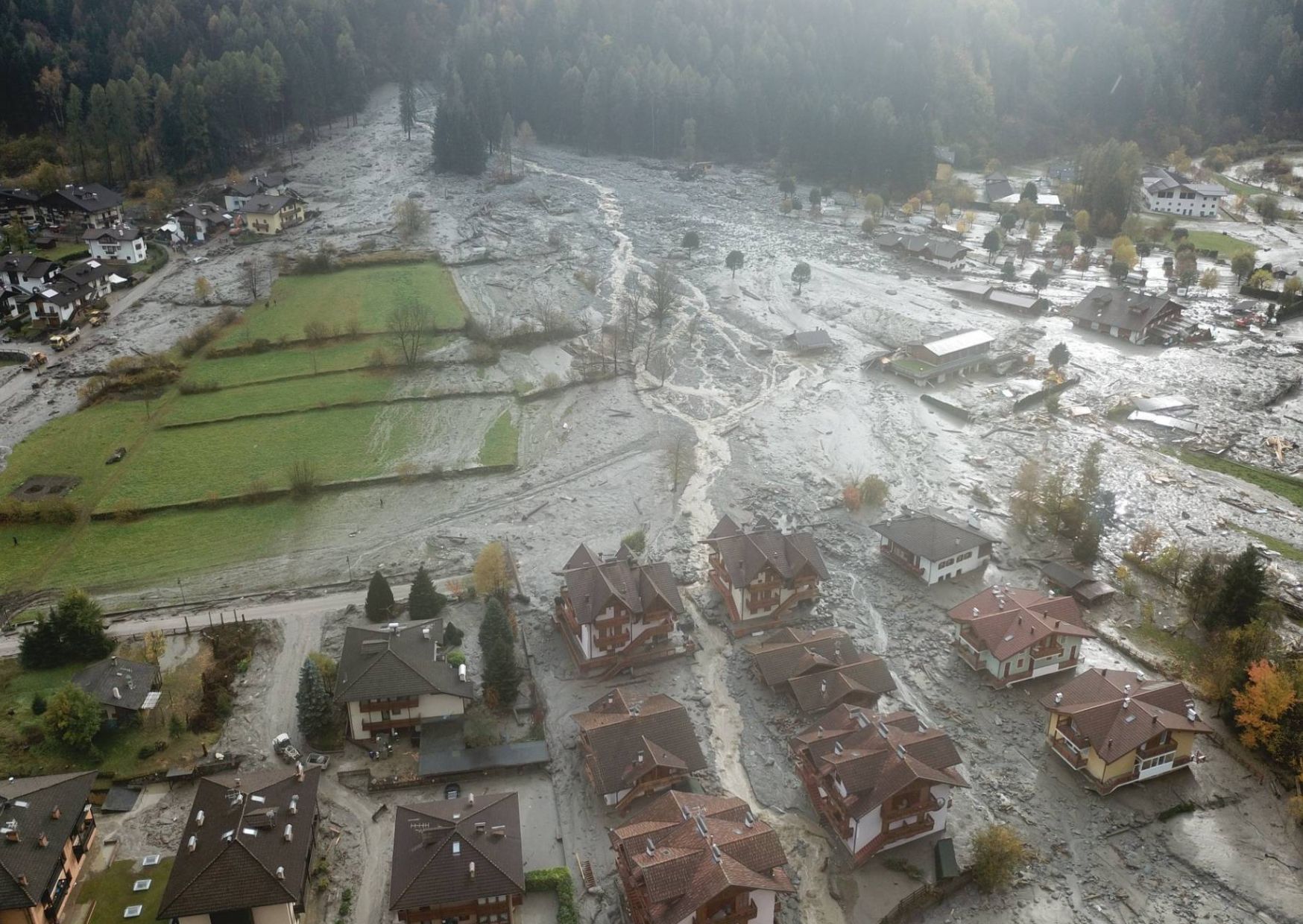 Vaia, al Muse si fa il punto della situazione
