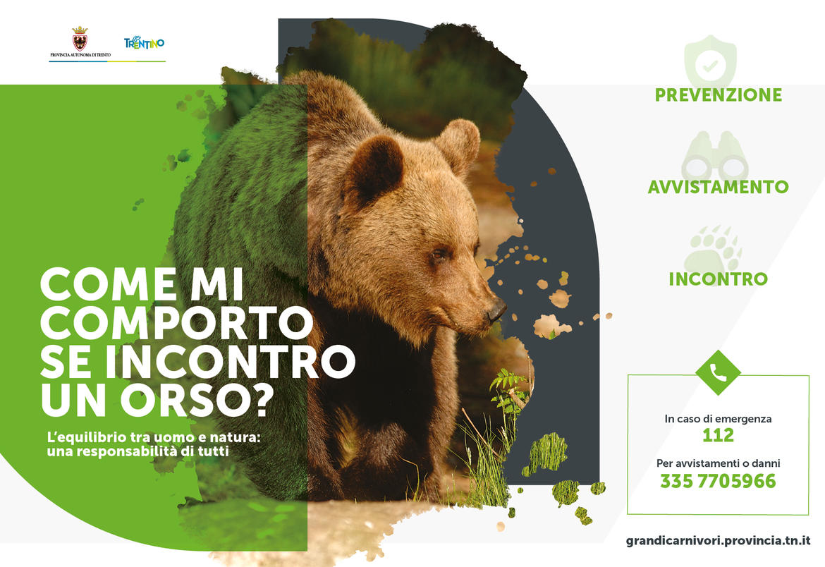 Che faccio se incontro l"orso?