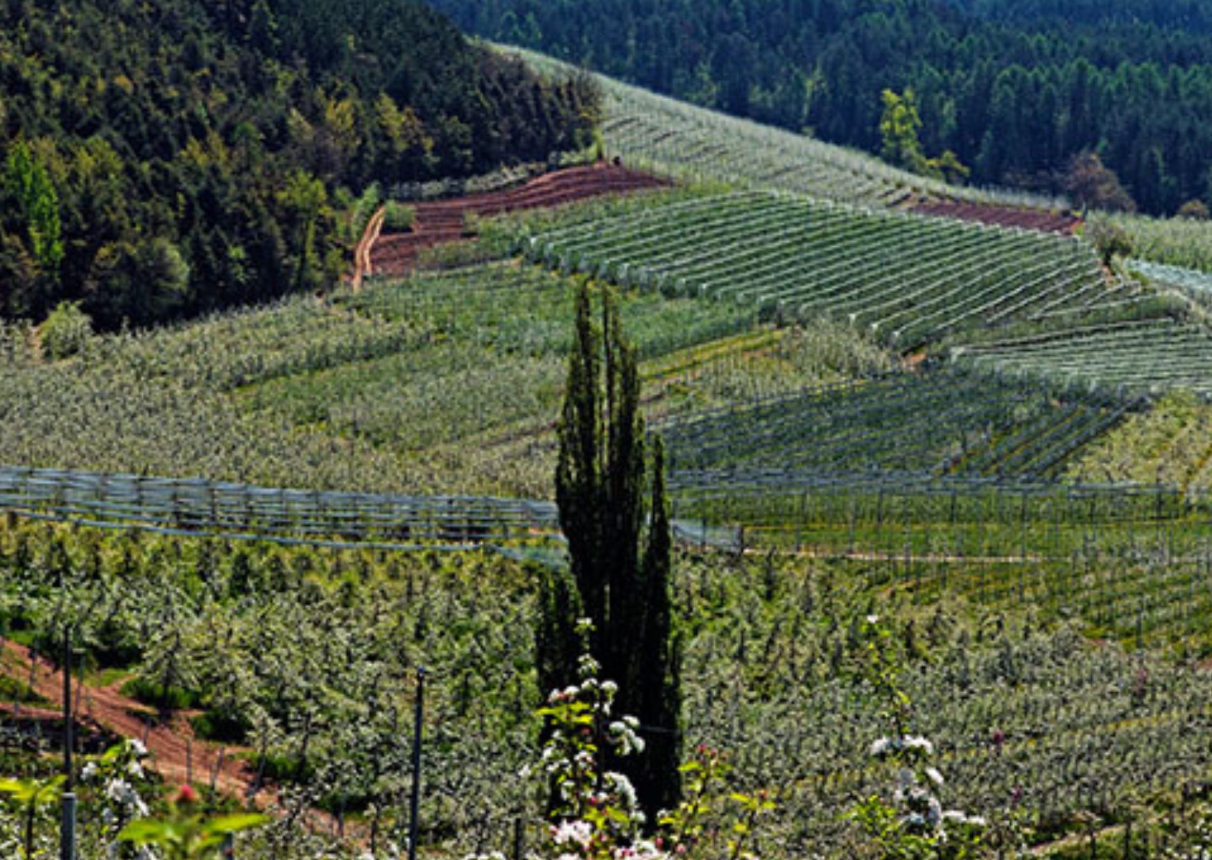 Imparare a scuola il valore dell"agricoltura