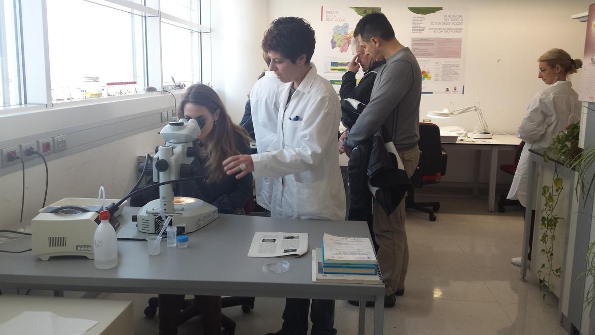 Potenziare le discipline scientifiche nella scuola