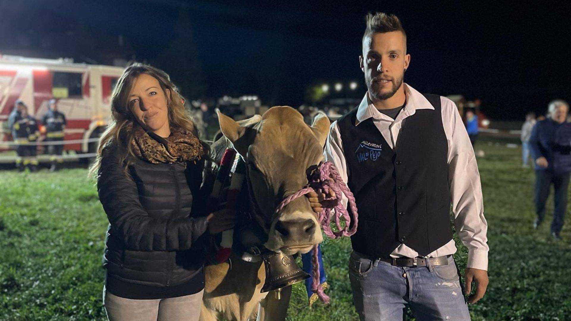  Kelly la regina delle vacche