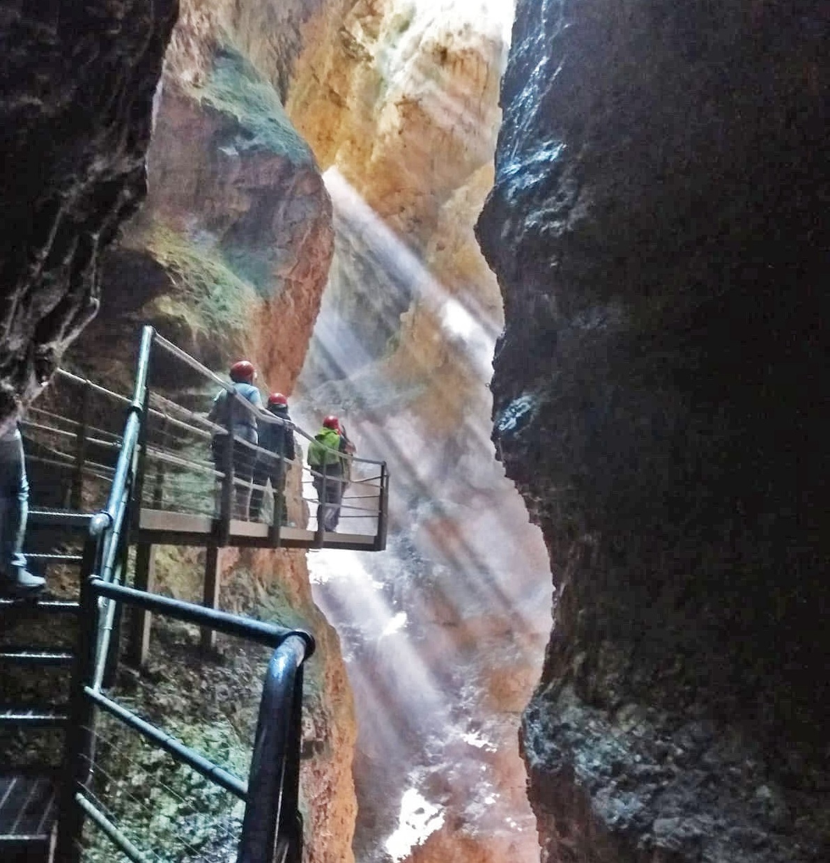 Il Parco Novella celebra la biodiversit&agrave; 