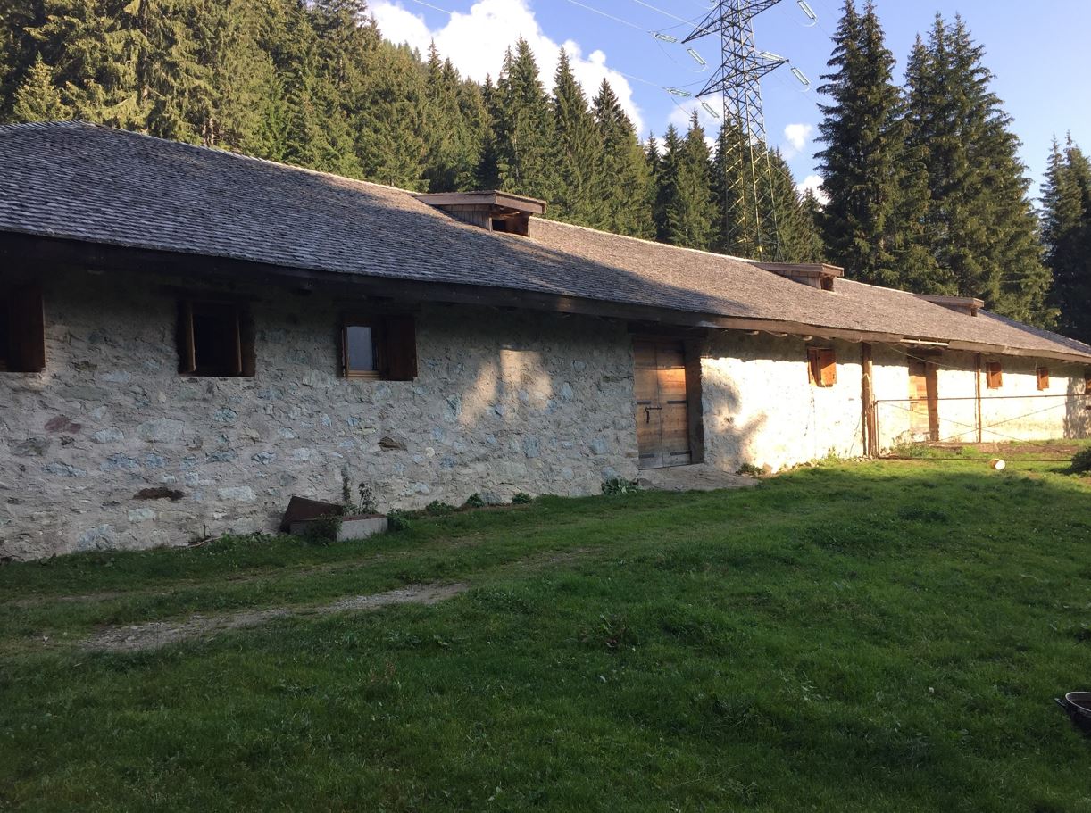 Malga Pec&egrave; in concessione