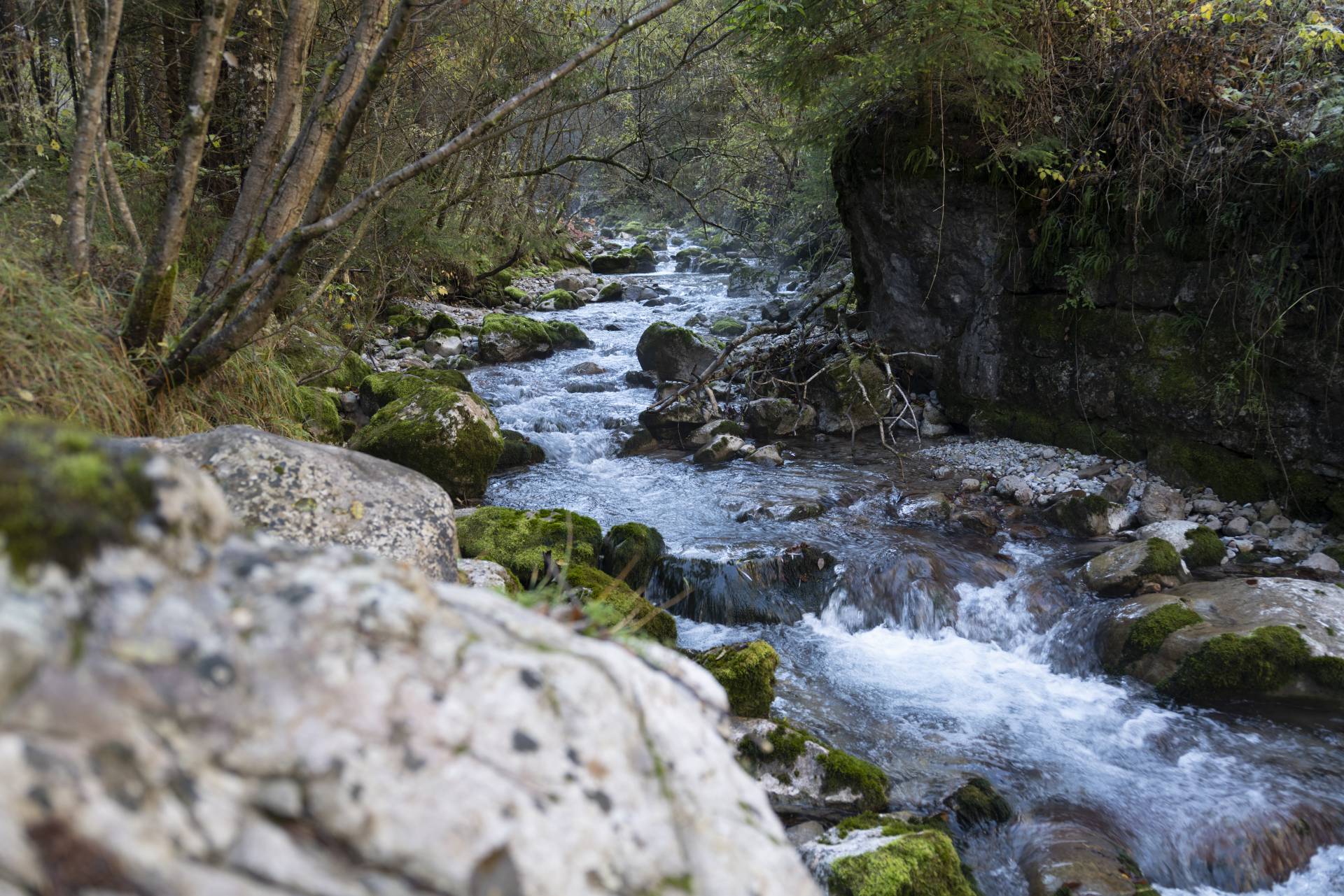 Al via la pulizia degli alvei del bacino del fiume Noce
