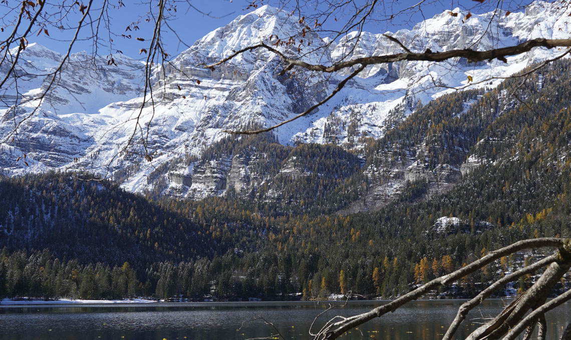 La difesa dell"ambiente entra nella Costituzione