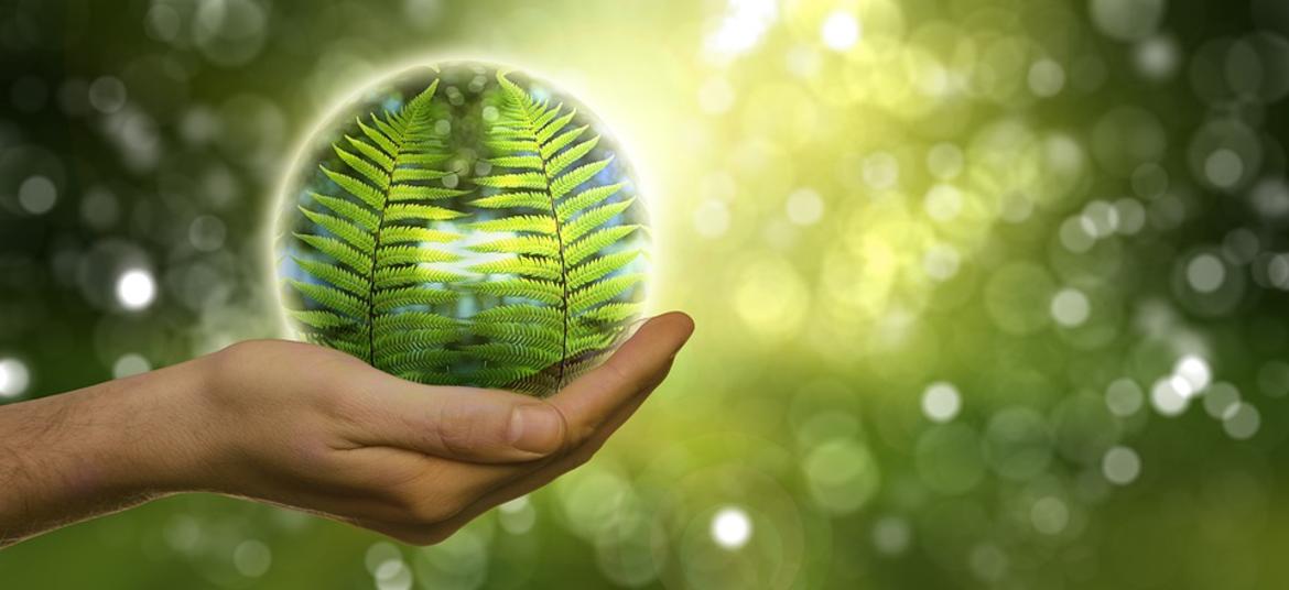 Aperte le candidature per il premio Arge Alp per la tutela del clima