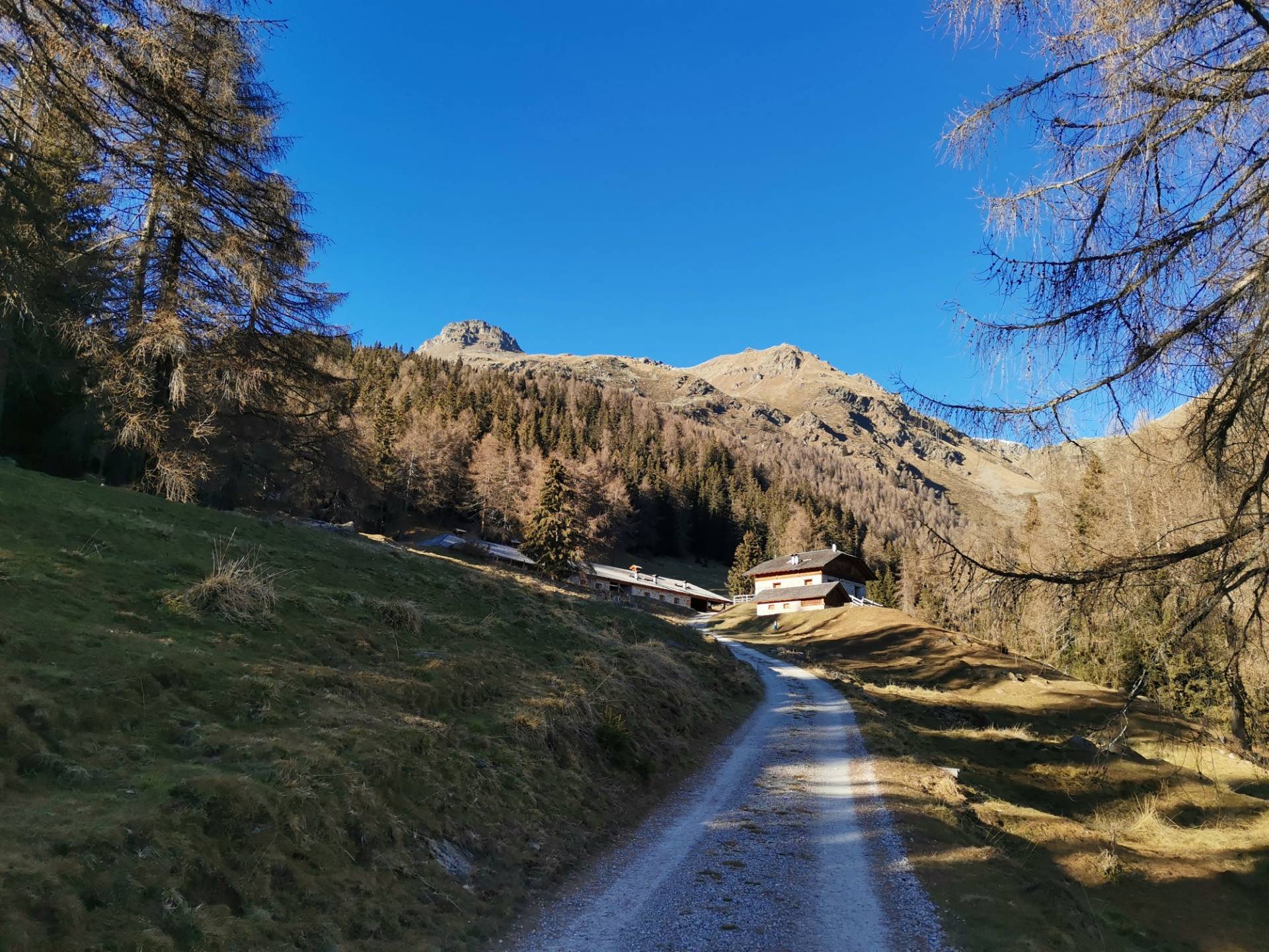 Rabbi, Comune e Sat insieme per la manutenzione dell"antica via delle malghe