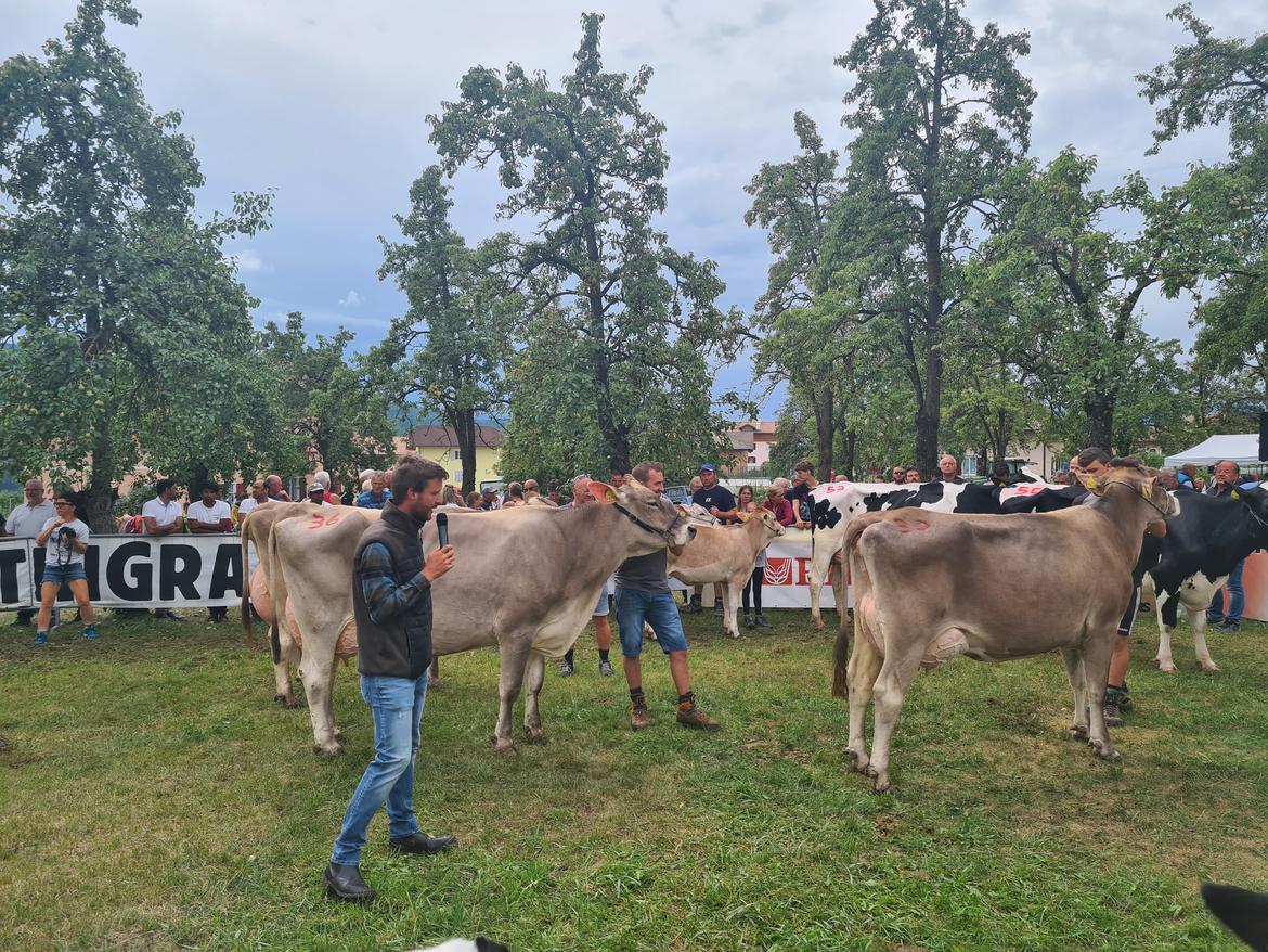 Gli allevatori nonesi in festa a Romeno