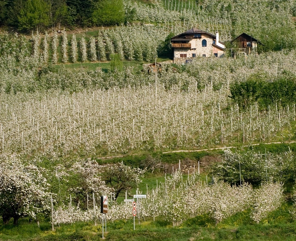 Turismo, si torna a viaggiare per Pasqua