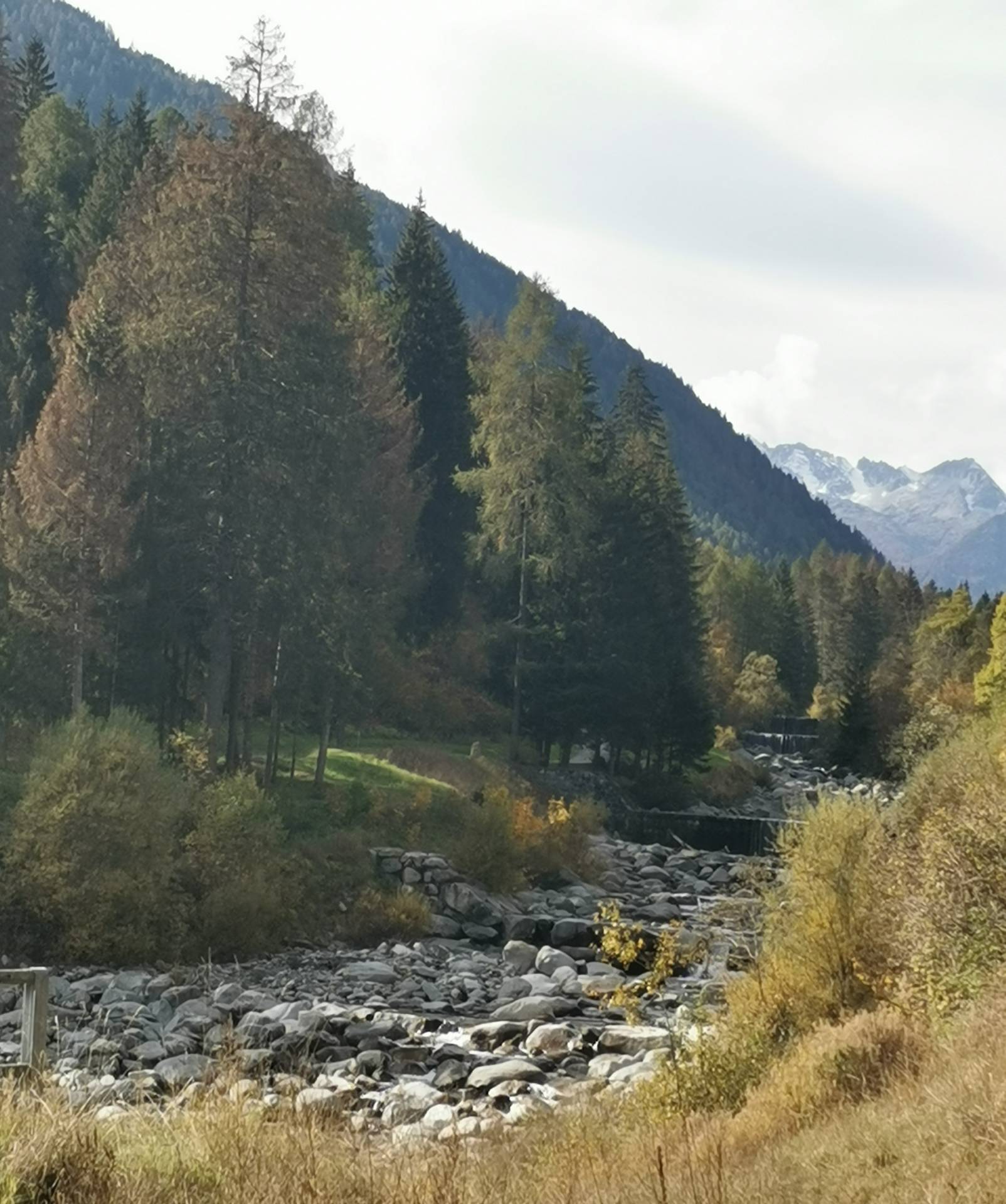Domenica 23 ottobre si va a far la legna
