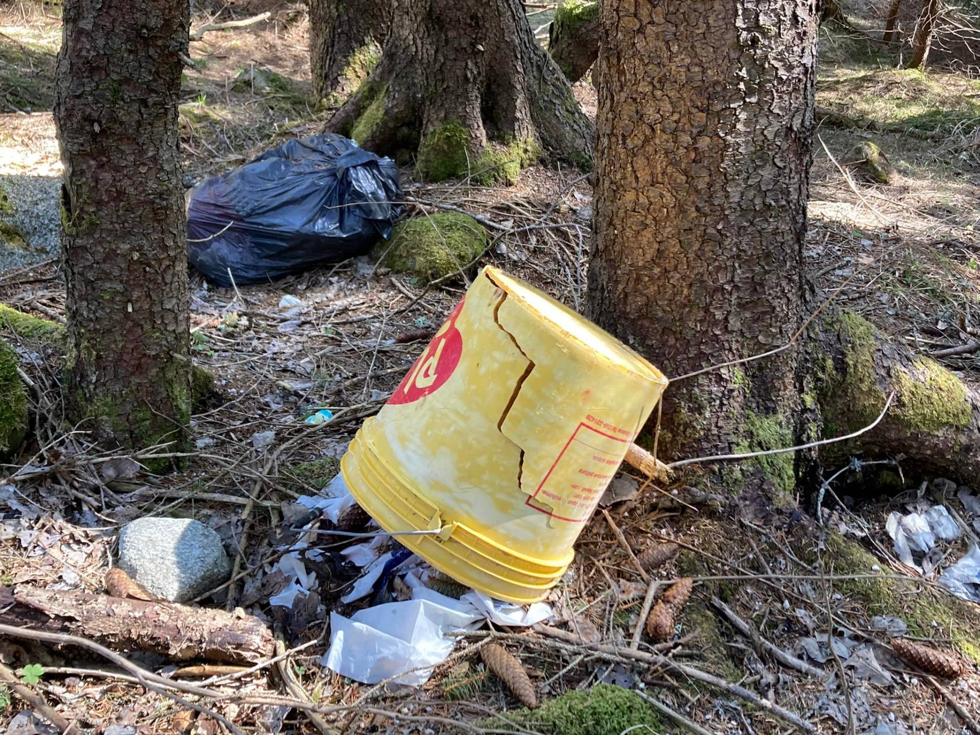 A spasso tra i rifiuti nel Parco