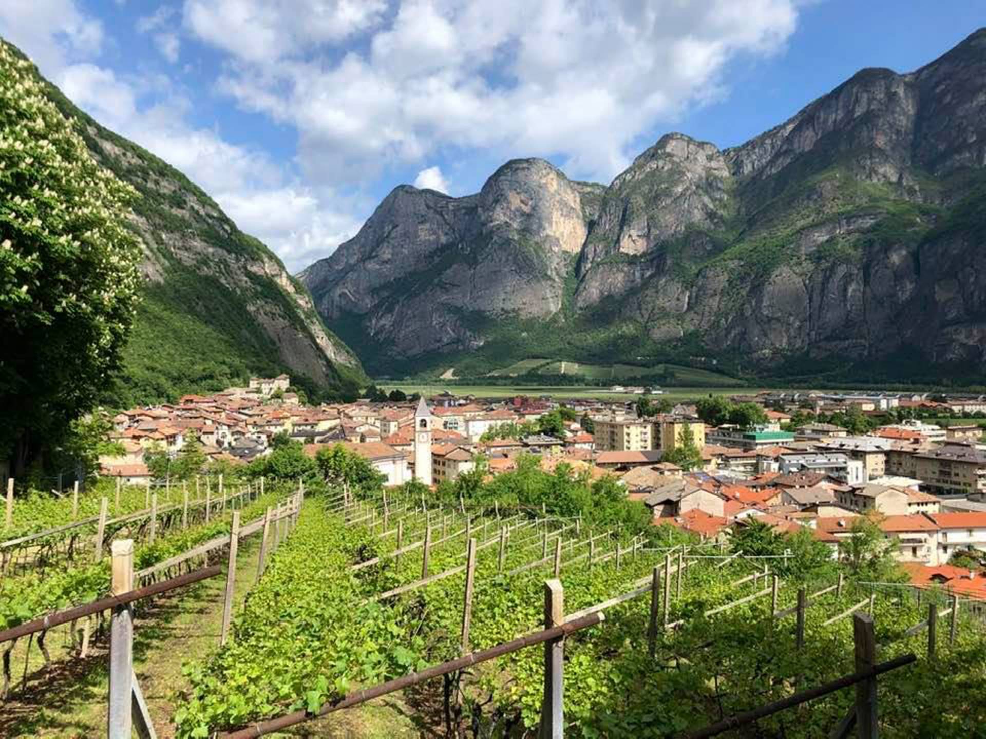 A Mezzolombardo torna la festa di San Pietro