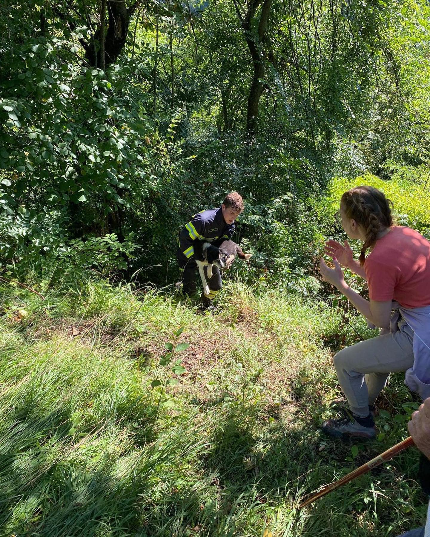 I vigili del fuoco di Flavon salvano un cane