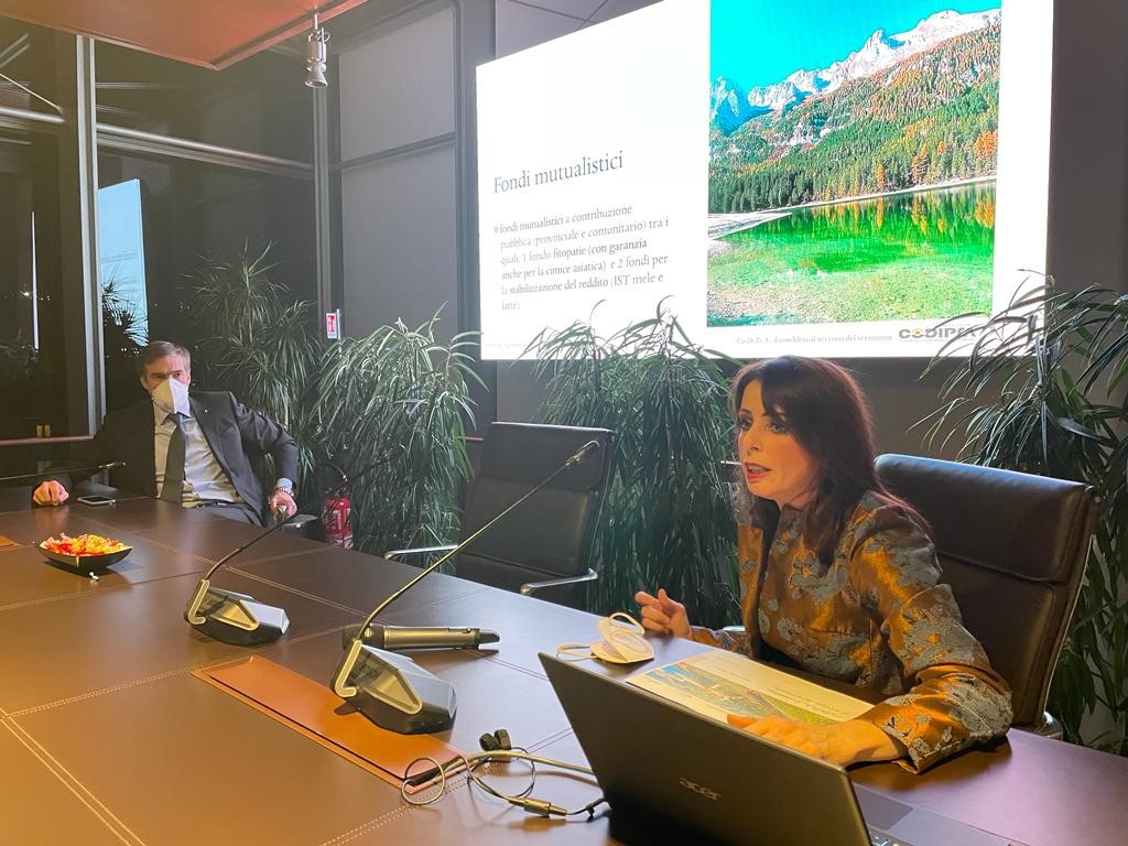 Welfare, pandemia e danni da maltempo