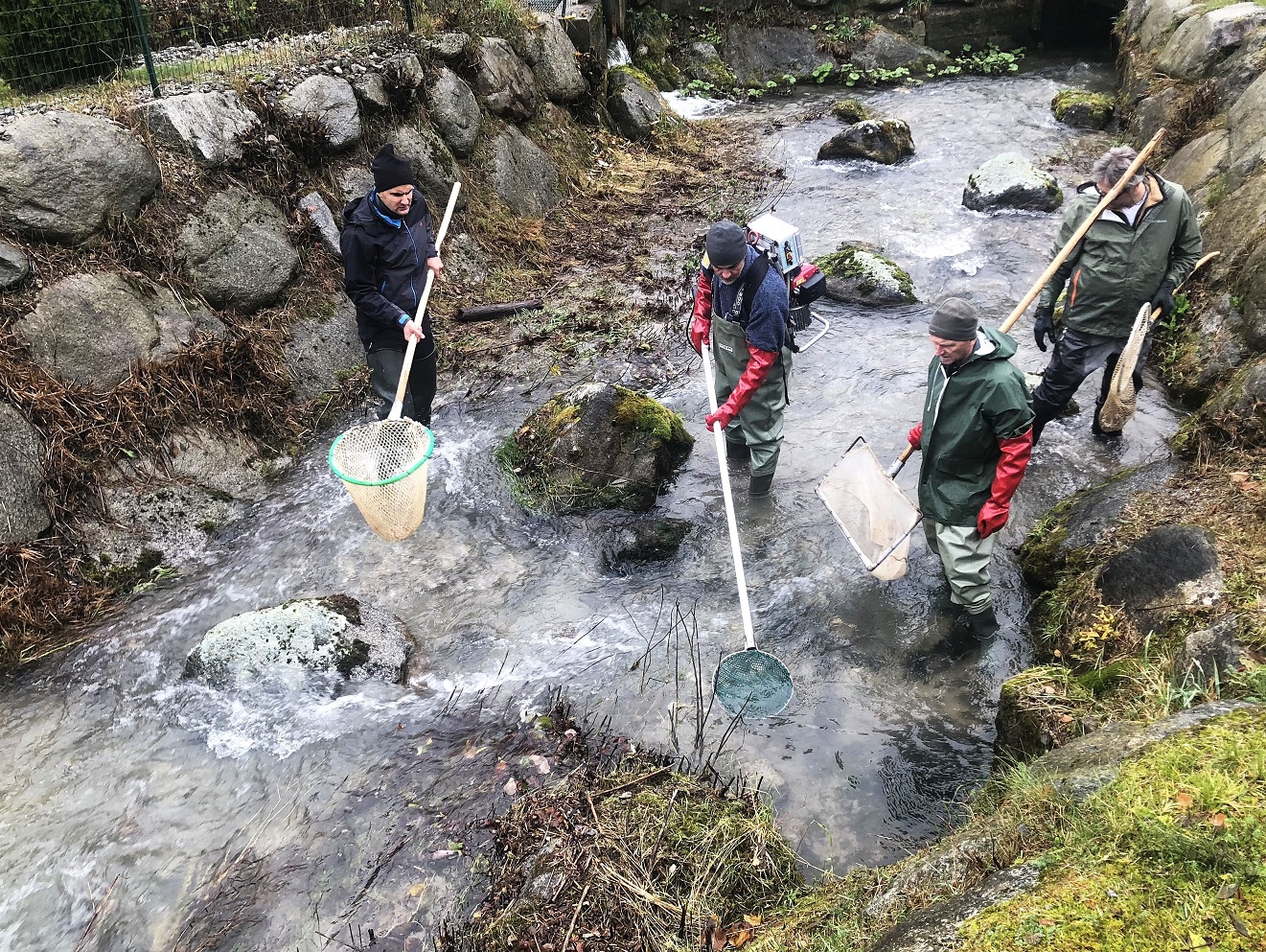 L"ultimatum dei pescatori: «Se non si trova una soluzione, smetteremo di occuparci della gestione delle acque e degli impianti ittiogenici»
