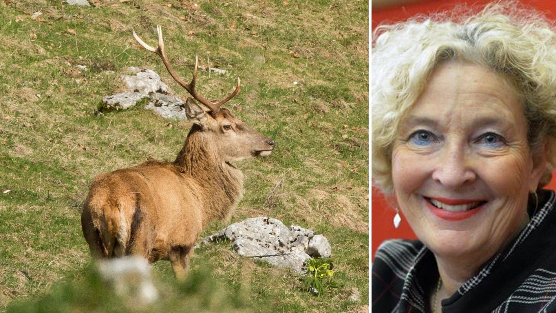 Lucia Coppola: «Trovare soluzioni alternative al prelievo selettivo nel Parco»