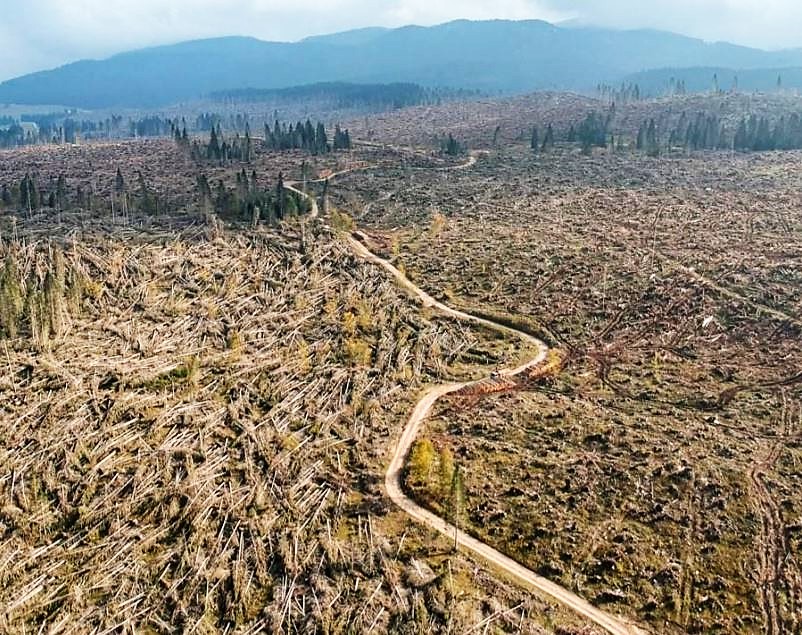 Vaia, un patto per la gestione responsabile delle foreste dolomitiche