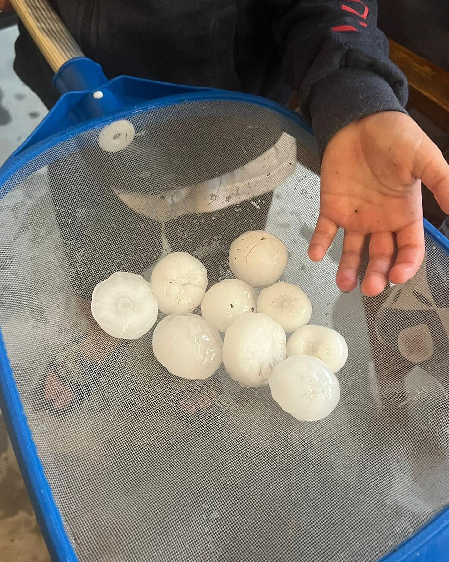 Alta Val di Non: Ossanna in visita alle aree grandinate