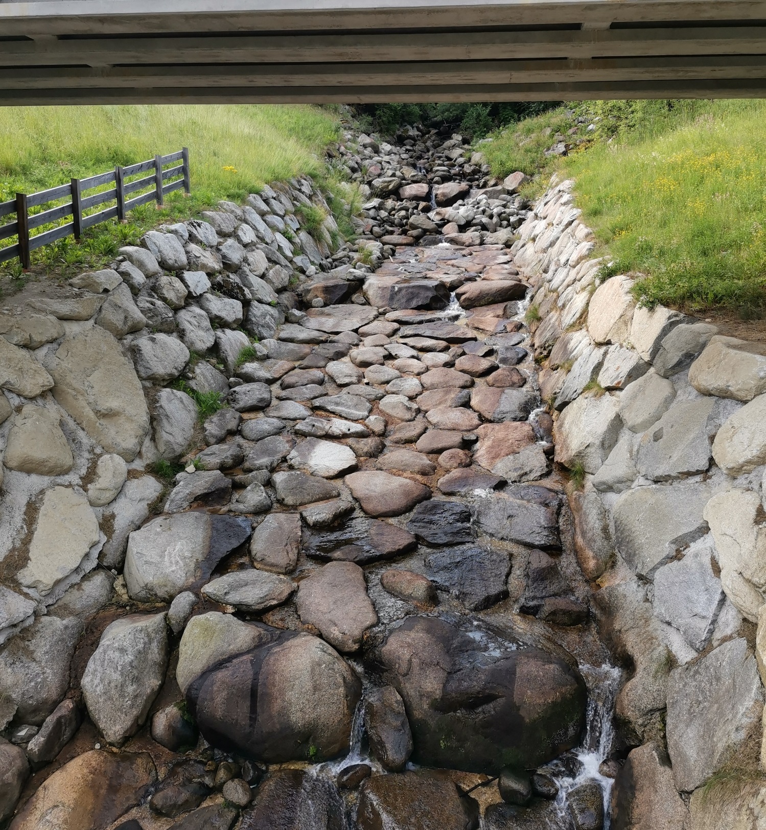 Sistemazioni idrauliche e forestali: 116 milioni di euro in 5 anni