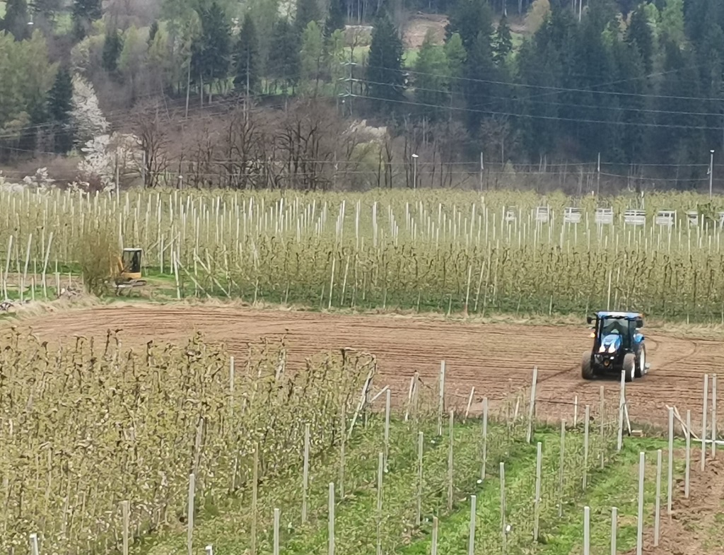 Apot e Fem, sostenibilit&agrave;  al centro