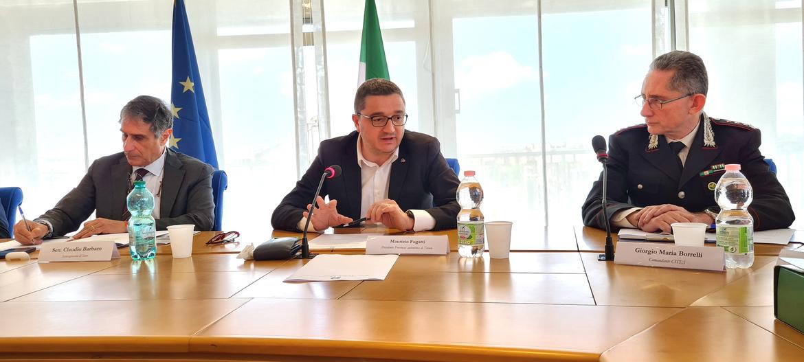 Orsi: ok dal ministero allo spostamento degli esemplari