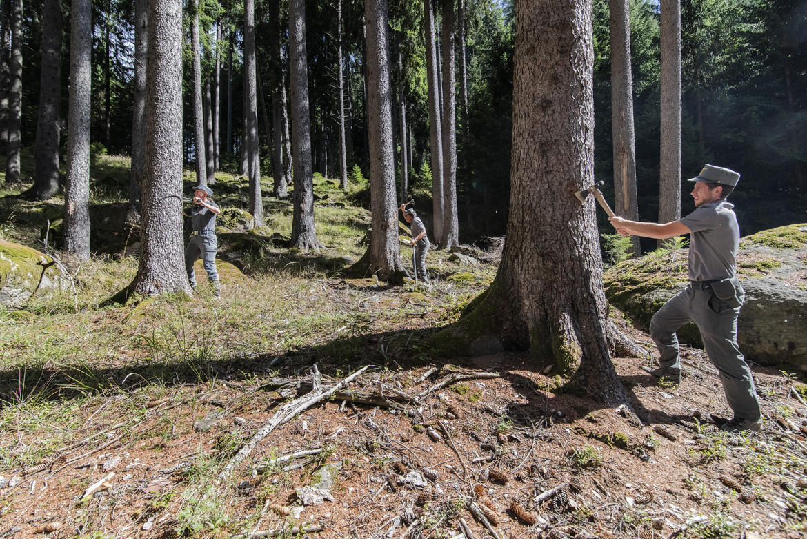 Bostrico, l"obiettivo &egrave; rimboschire altri 200 ettari di foresta nel 2023