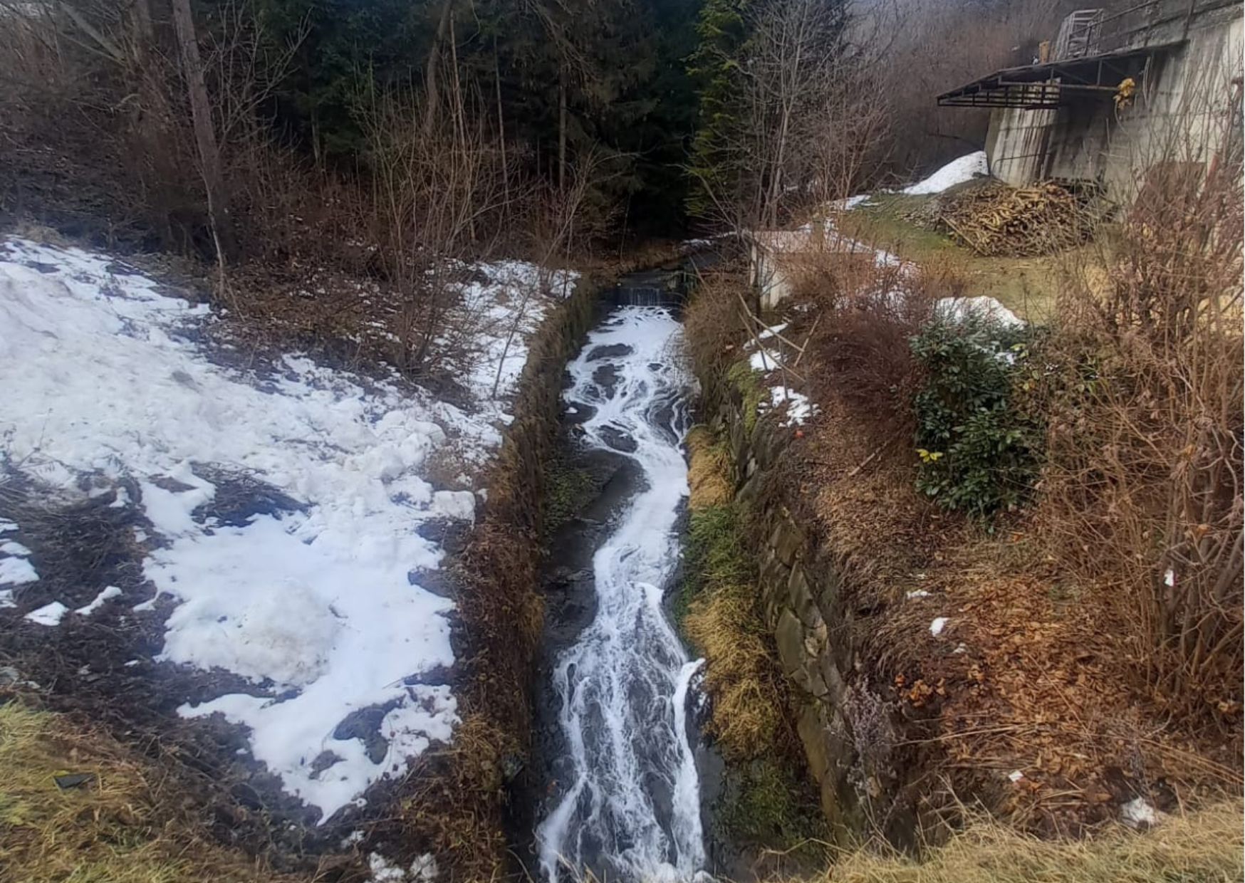 Schiuma nel rio Paglia (FOTO)