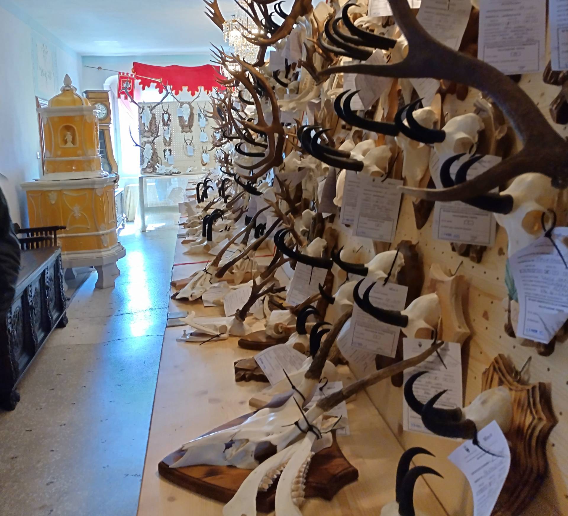 Trofei in mostra a palazzo Arzberg Freihaus