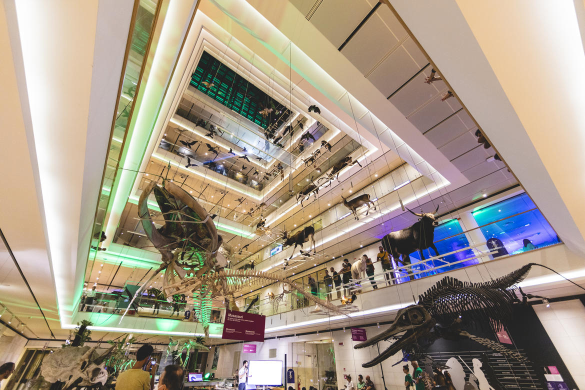 Il Muse compie 10 anni