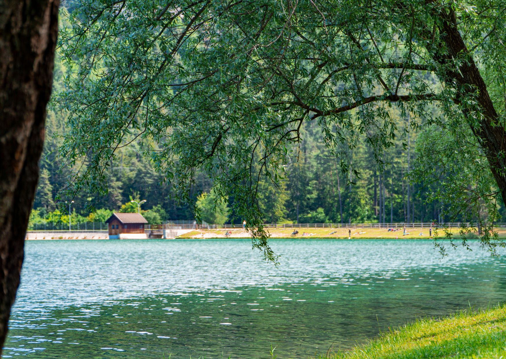 Acqua trentina: sostenibilit&agrave;  a 360Â°