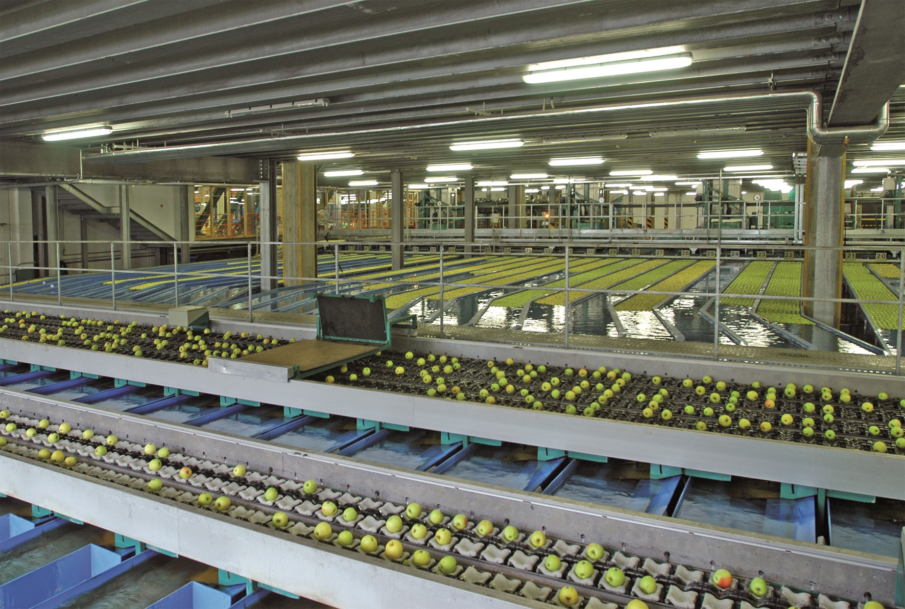 Melinda non spreca neanche una goccia d"acqua