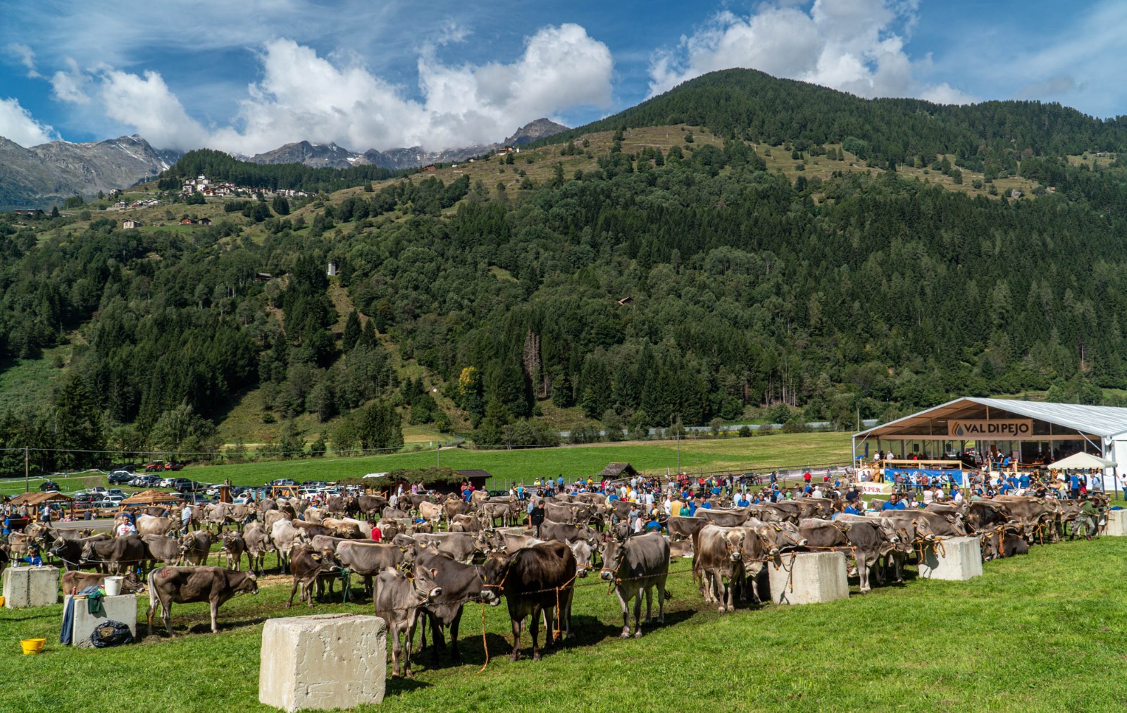 A Cogolo la festa dell'agricoltura