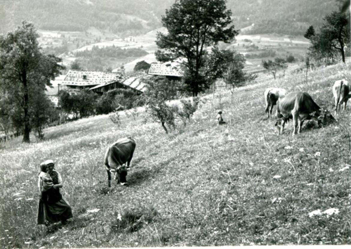 Una mostra per comprendere la montagna