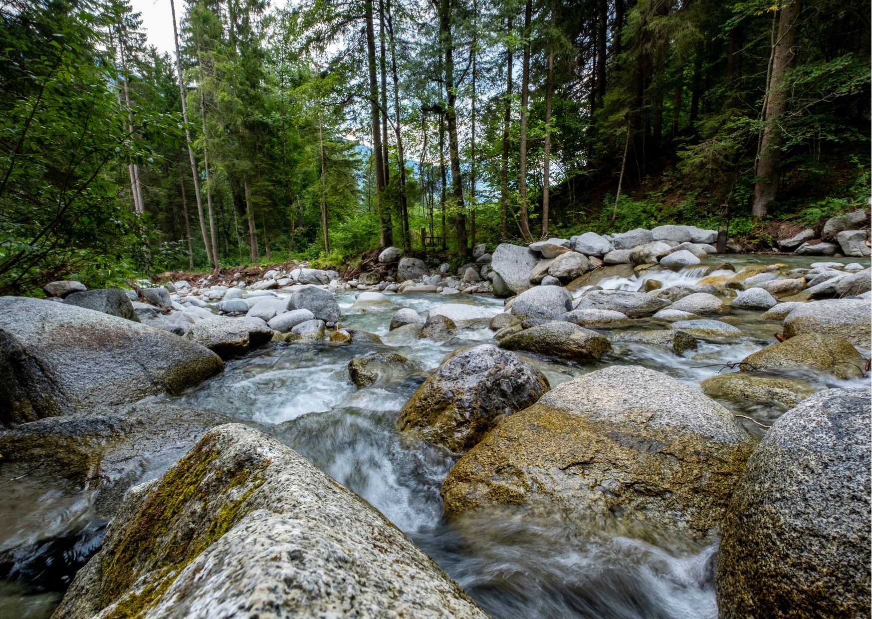 Prevenzione alluvioni, potenziata la pulizia degli alvei anche in Val di Sole