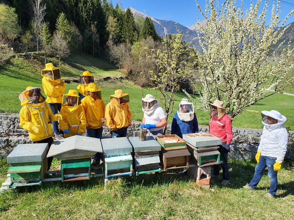 Api: l"orso non &egrave; l"unica minaccia