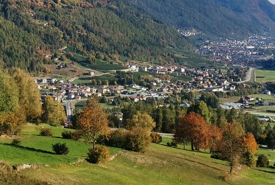 Dimaro, testa di pecora mozzata davanti alla porta di casa di un imprenditore