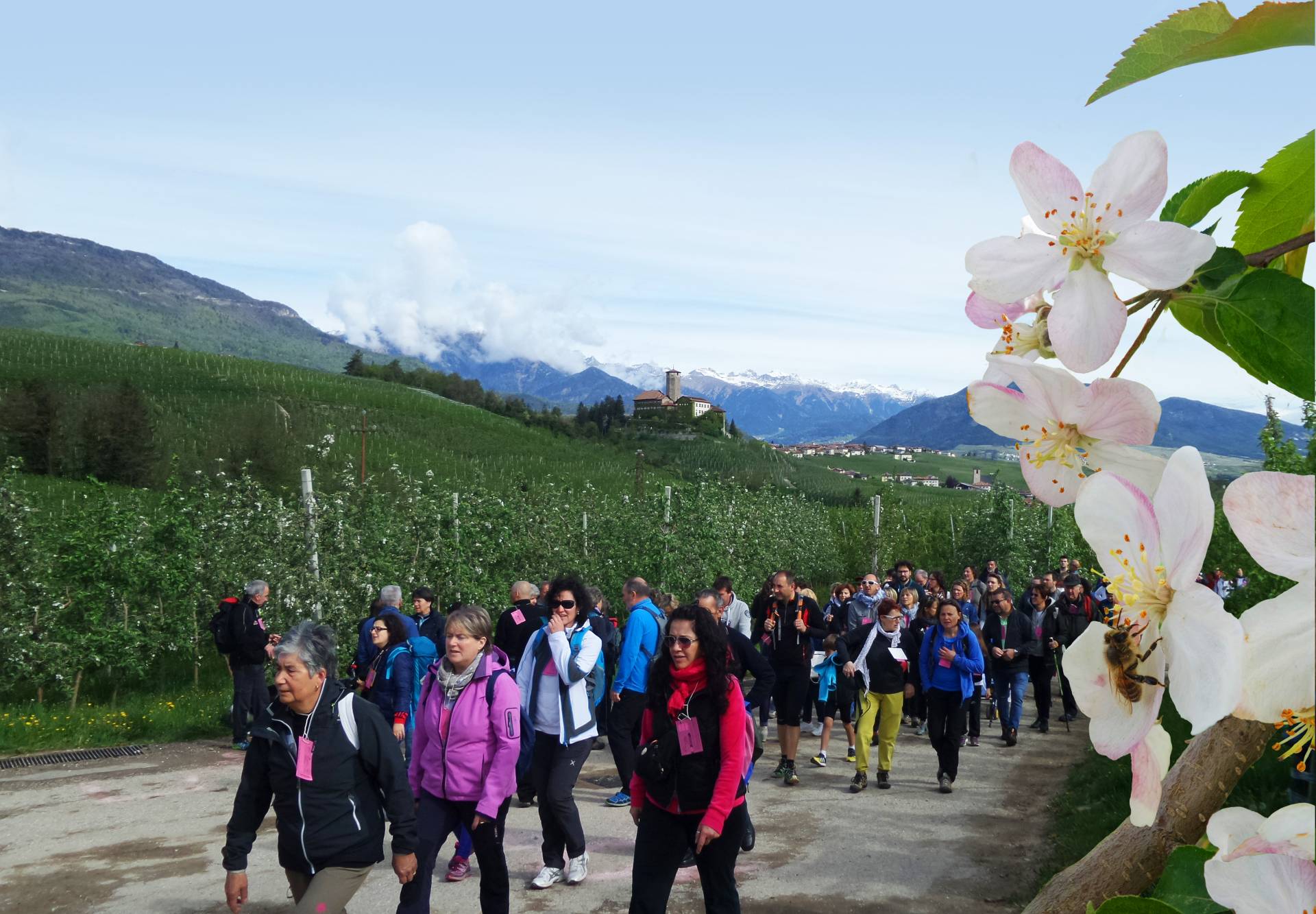 La 4 Ville in fiore fa 45