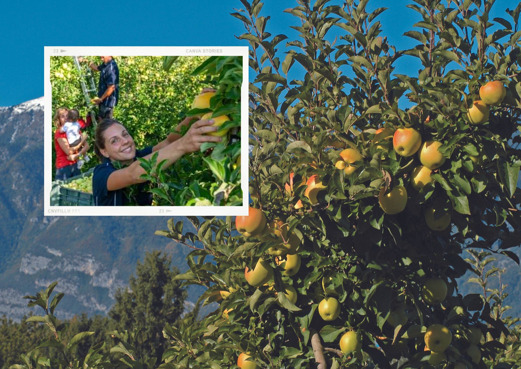 Le lavoratrici di Melinda si raccontano per la Giornata della donna