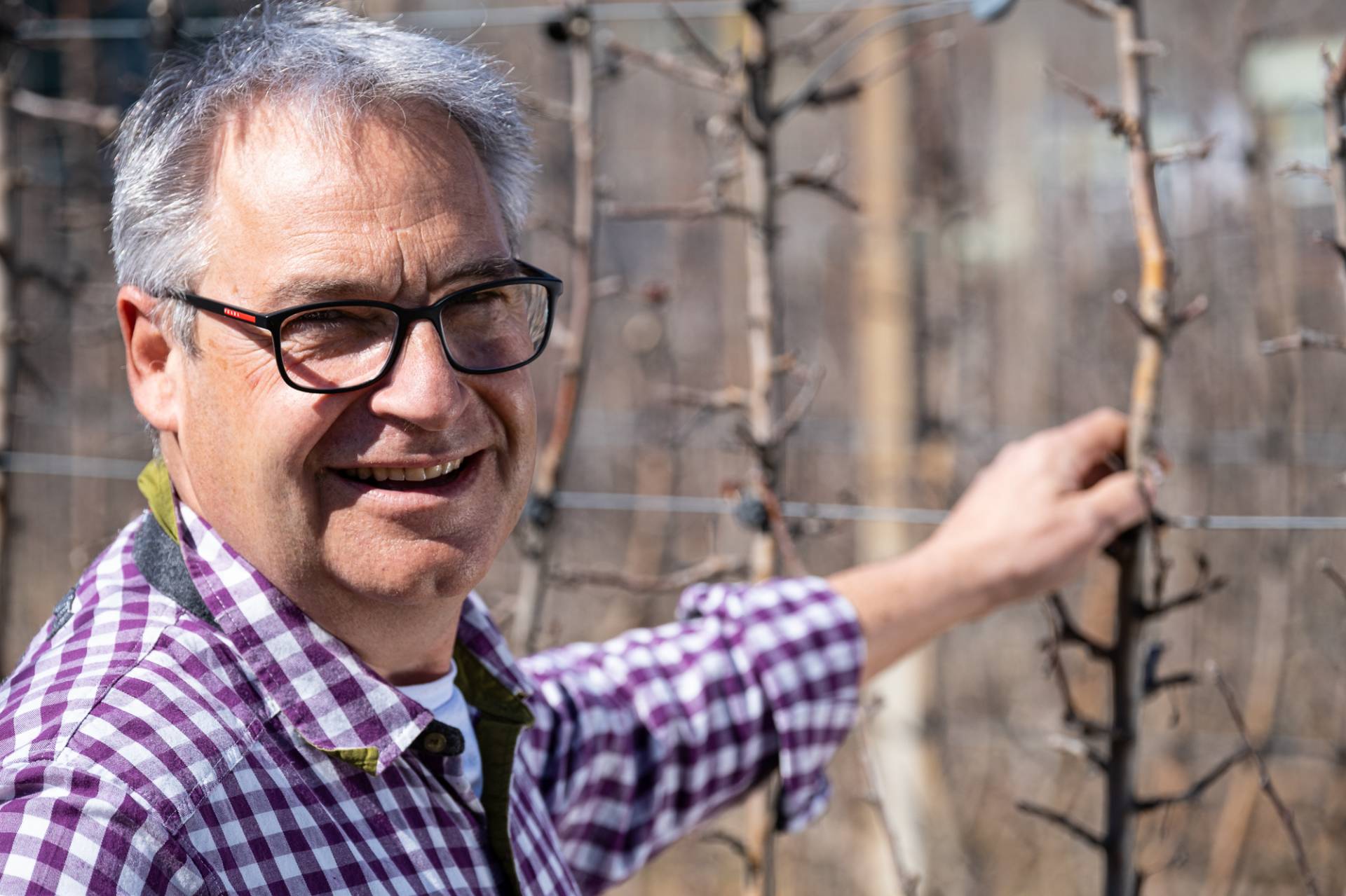 Melinda, un"annata all"insegna della qualit&agrave; 