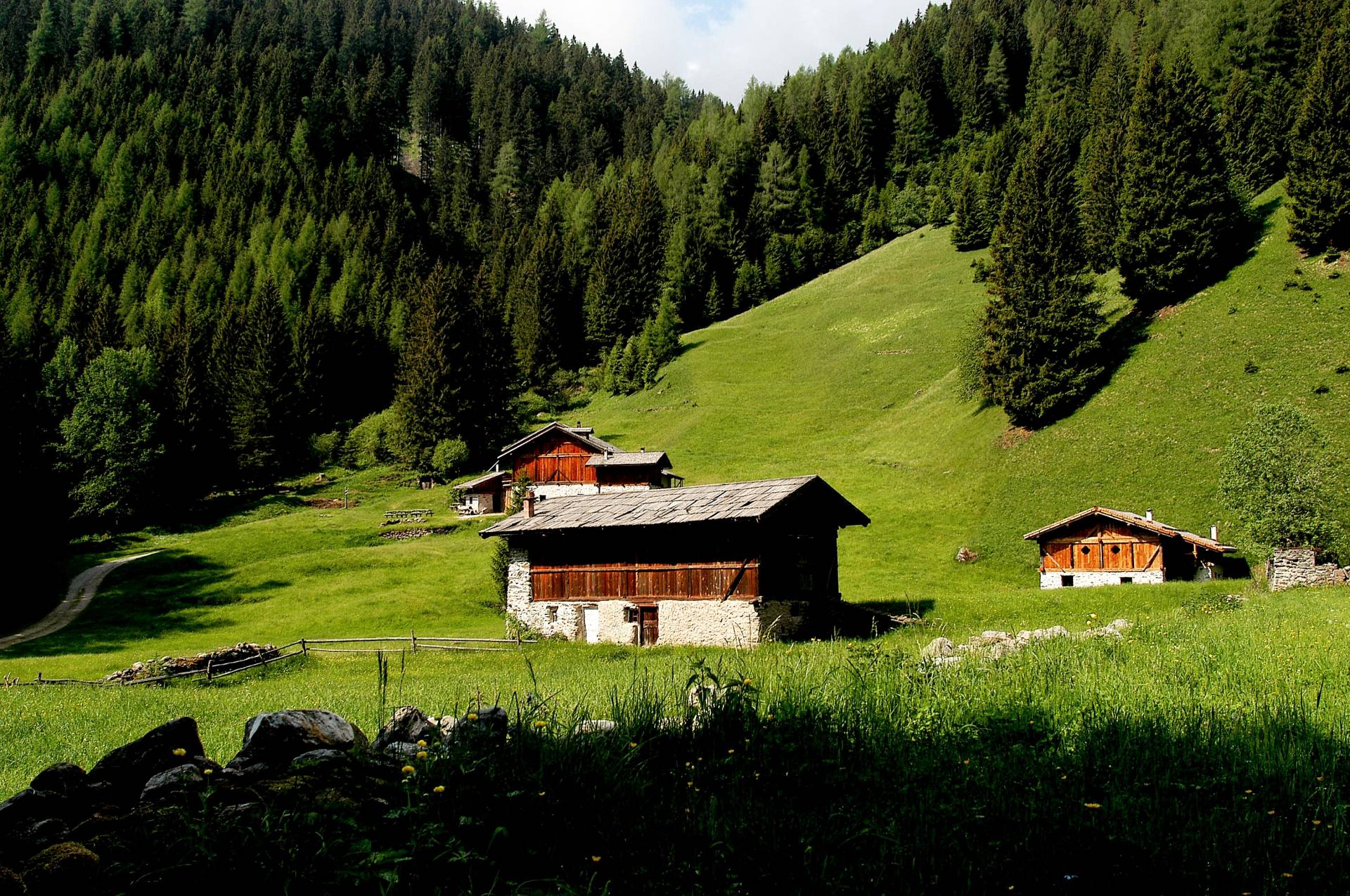 Rabbi, una galleria paravalanghe al Coler