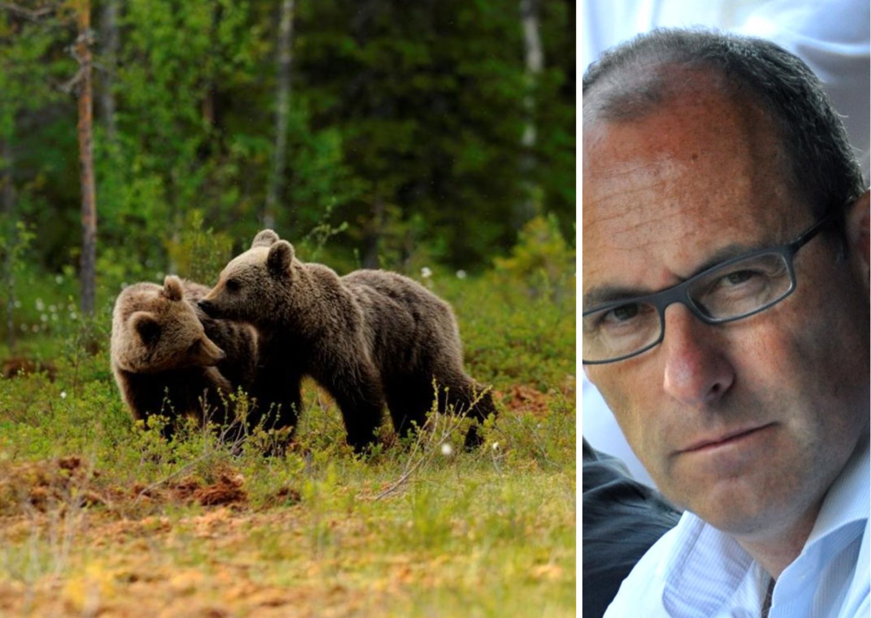 Rossi: "Orsi, ennesima presa in giro"