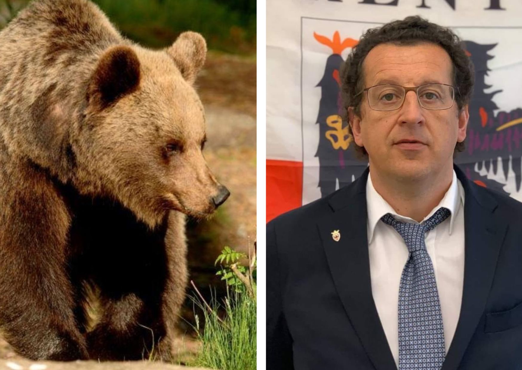 La LAV contro il consigliere Ivano Job