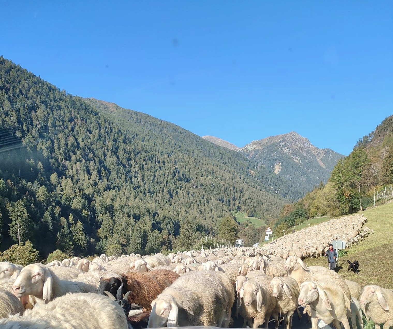 Rabbi, traffico in tilt