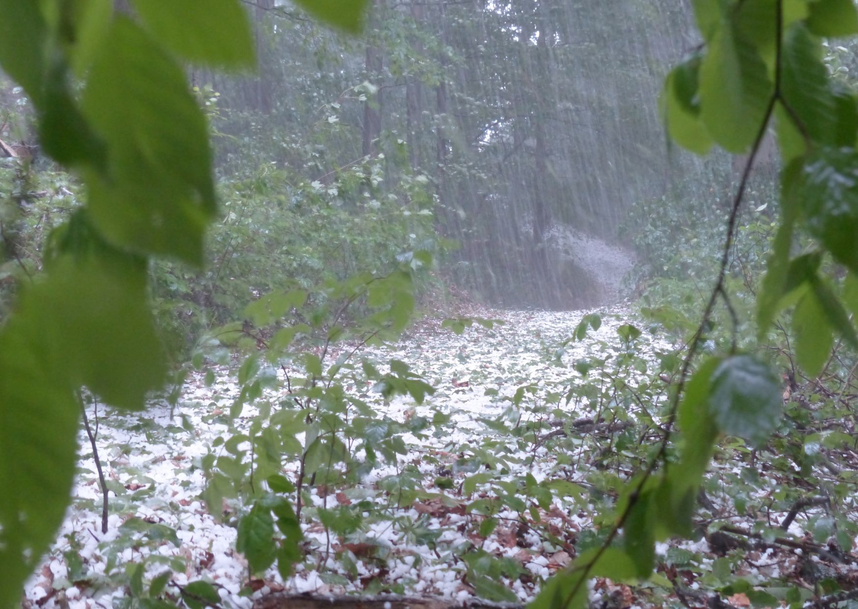 Maltempo, previsti forti temporali con possibili grandinate